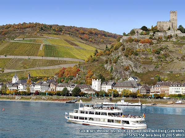 Goldener Weinherbst am Mittelrhein bei Kaub am Rhein, 07515  2005 WHO